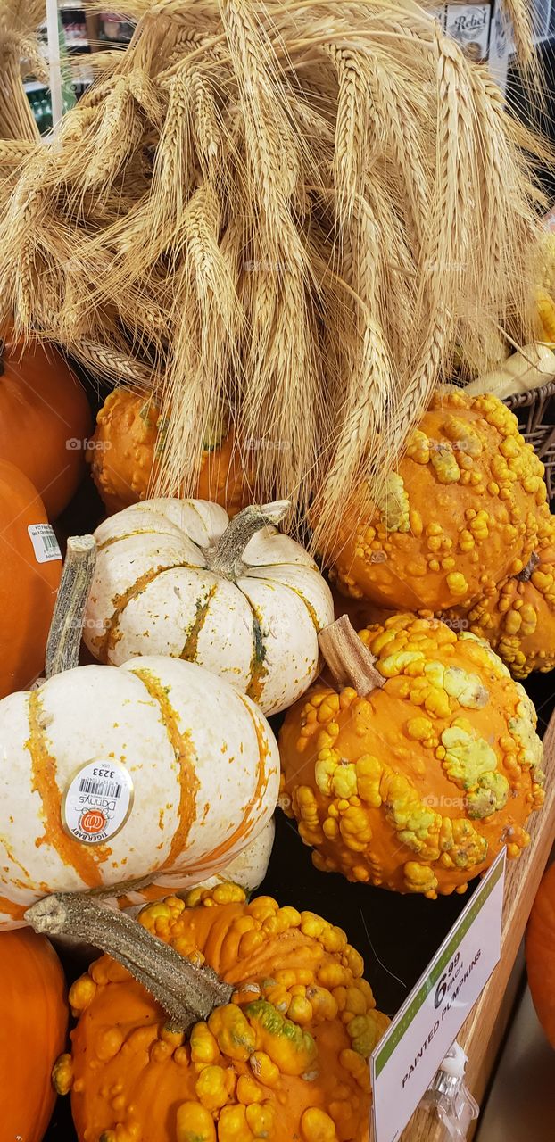 Fall Decoration/pumpkin 🎃