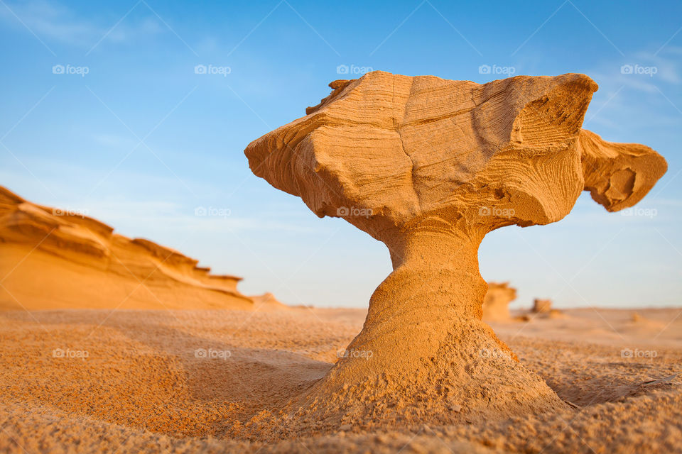 Sand. Wind. Time. Fossil dunes in Abu Dhabi, UAE.