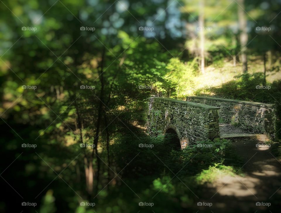 Stone footbridge in the forest. A small stone footbridge in the middle of the forest. 