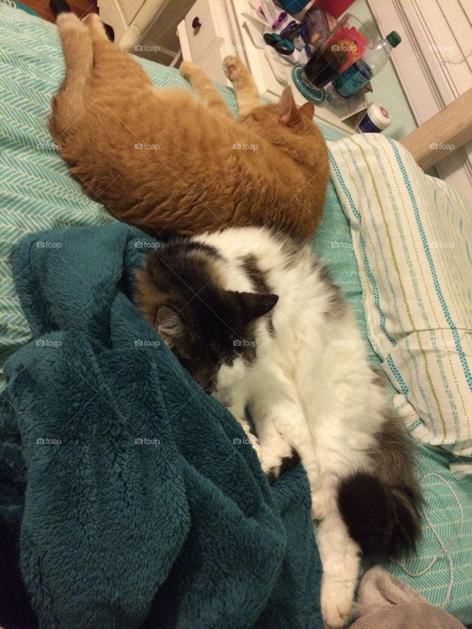 Bed takeover. My boys love my bed...and they don't love sharing (w/ me at least)