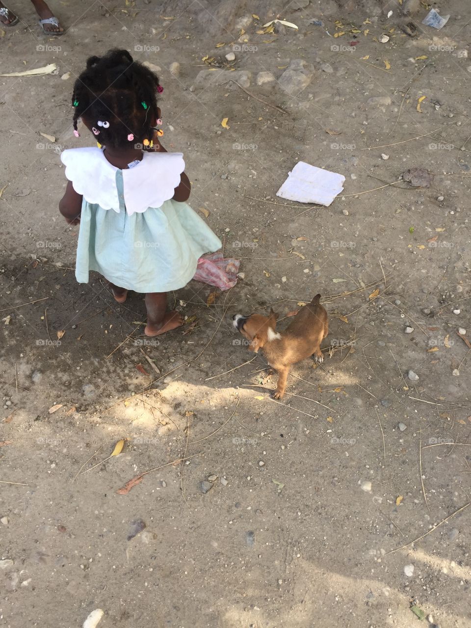 Young Haitian girl with  puppy