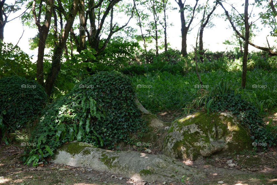 The lost gardens of heligan Susan Hlls sculpture 