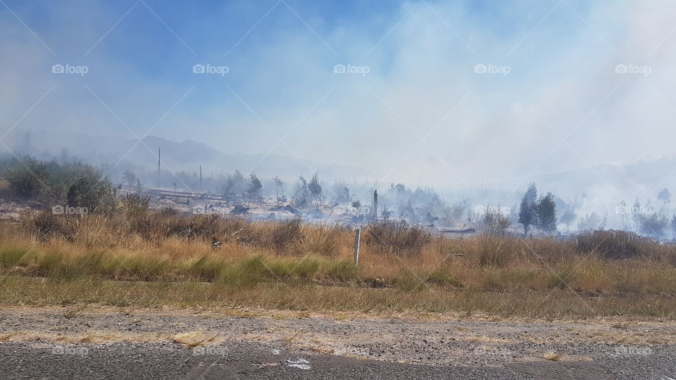 Fires burned out of control in the southern Cape South Africa