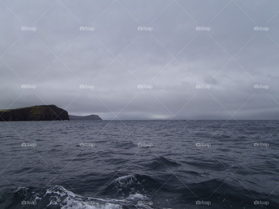 Where is Fungie the dolphin?. Dolphin watching in Dingle Ireland 