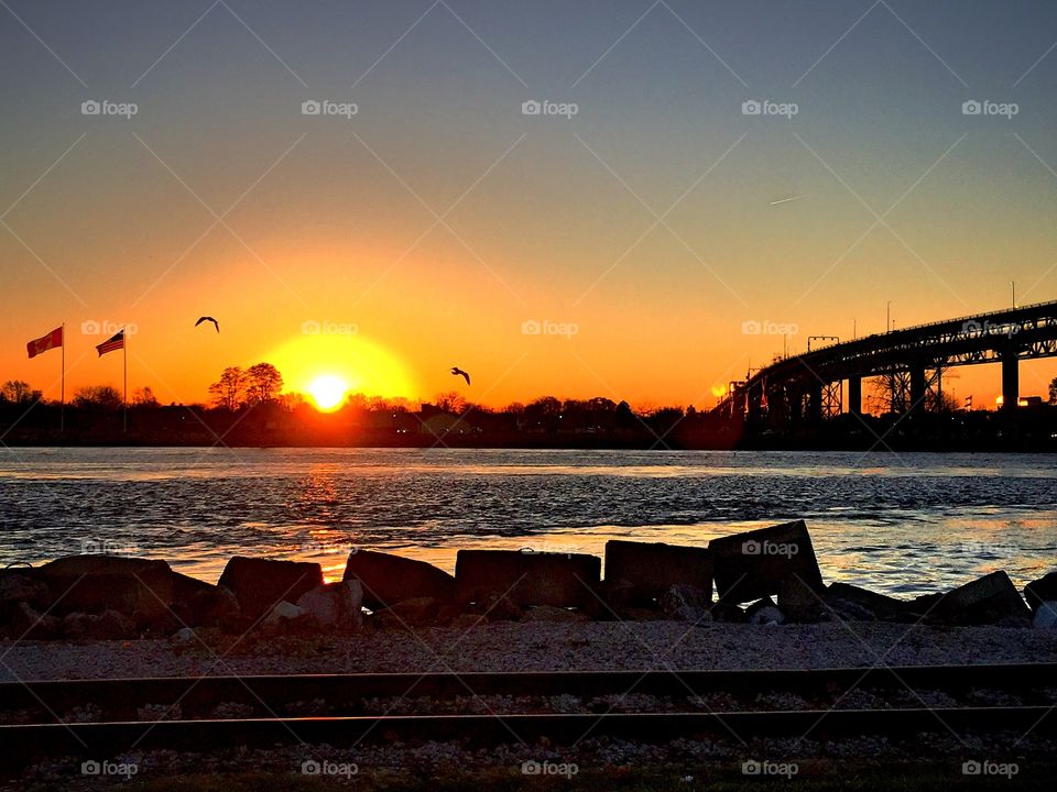 Sun Rise an Seagulls 