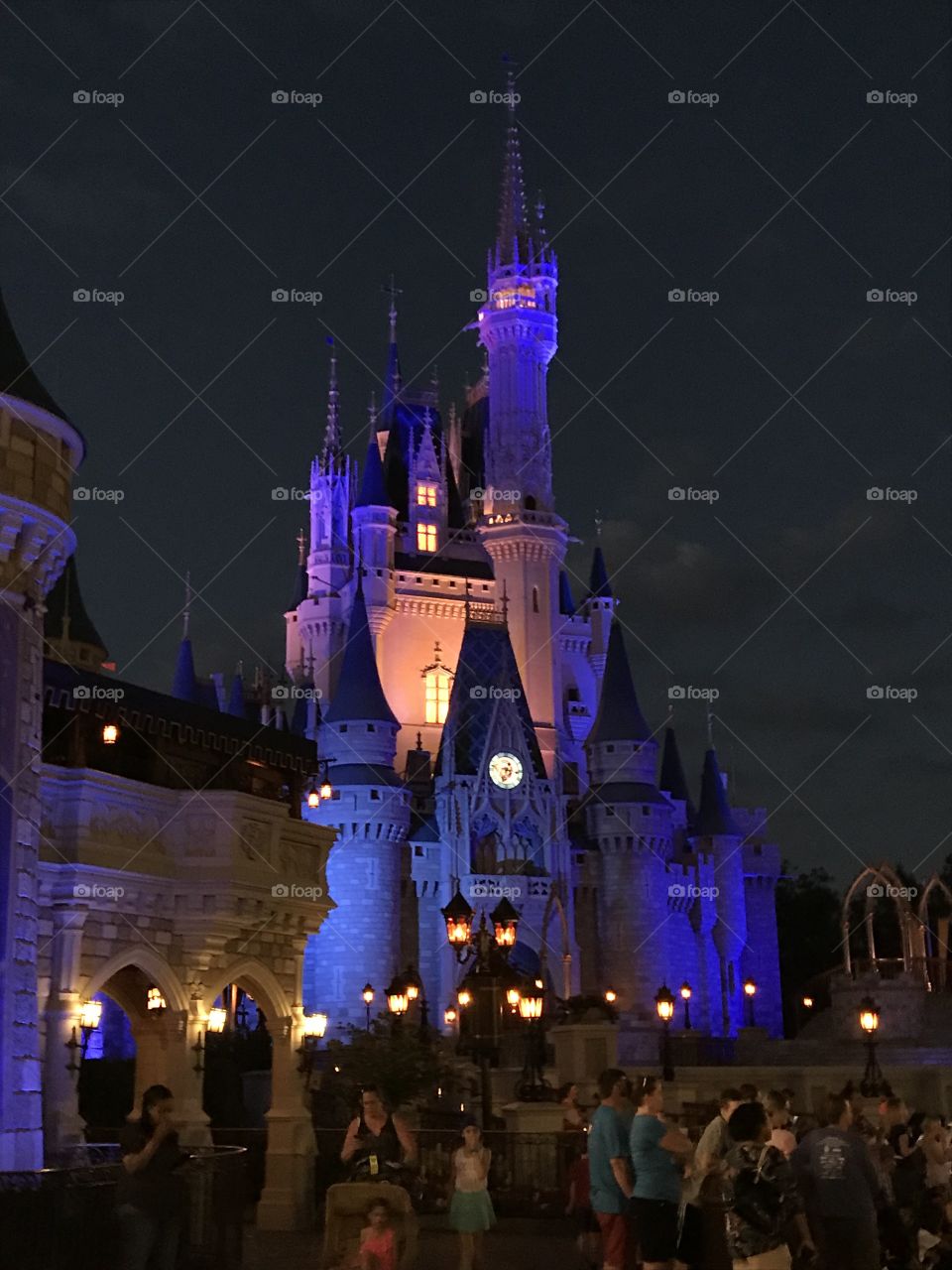 View of Castle at Disney 
