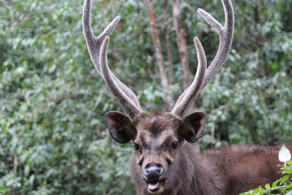 Hunting time , unexpected things happened, scared