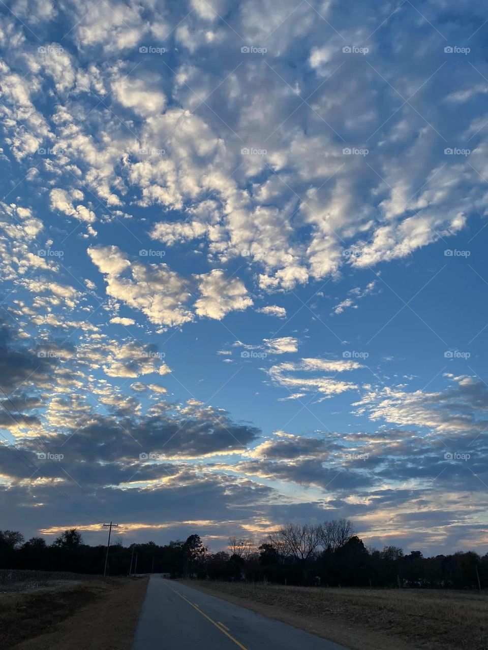 When night begins to fall 