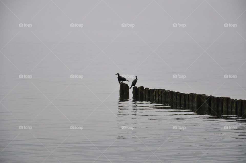 grey day at the Baltic sea