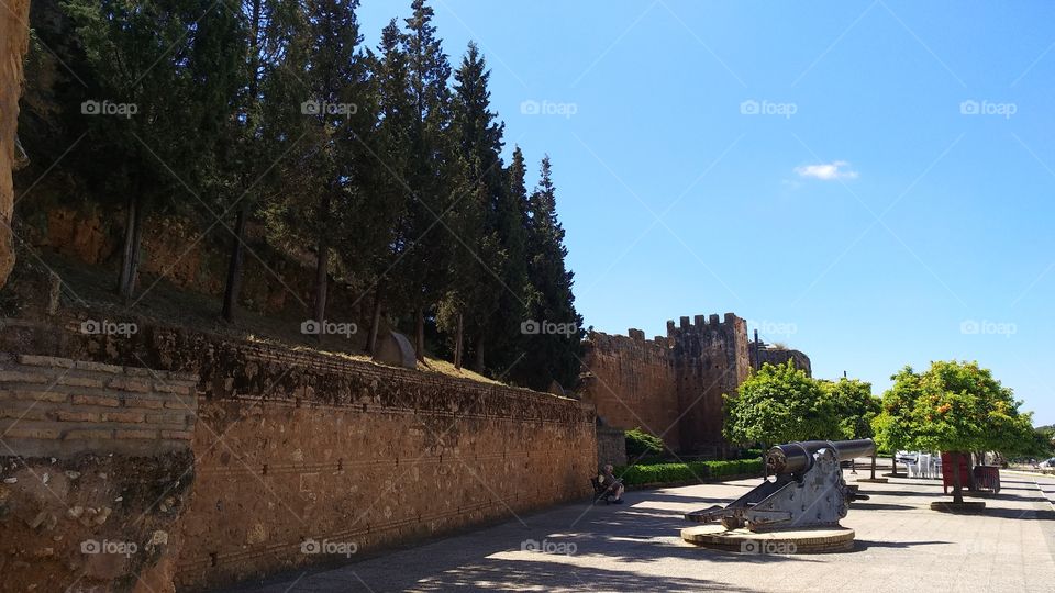 Muralla de Niebla