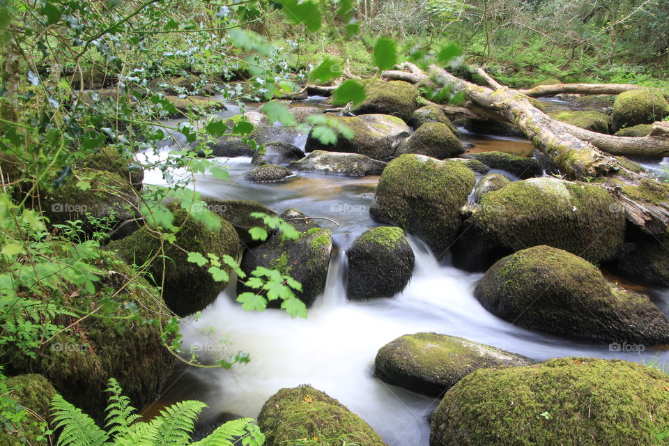 River Bovey