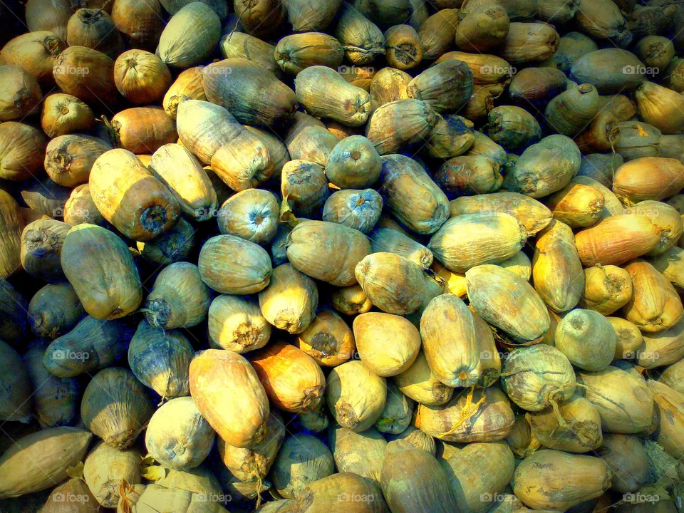 CoConat