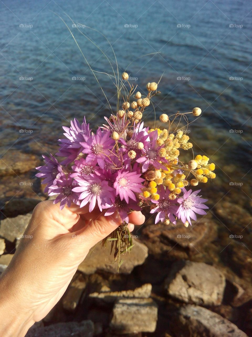 Nature, No Person, Summer, Outdoors, Water