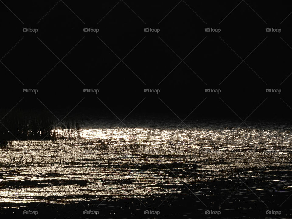 river sparkling through dark silhouettes