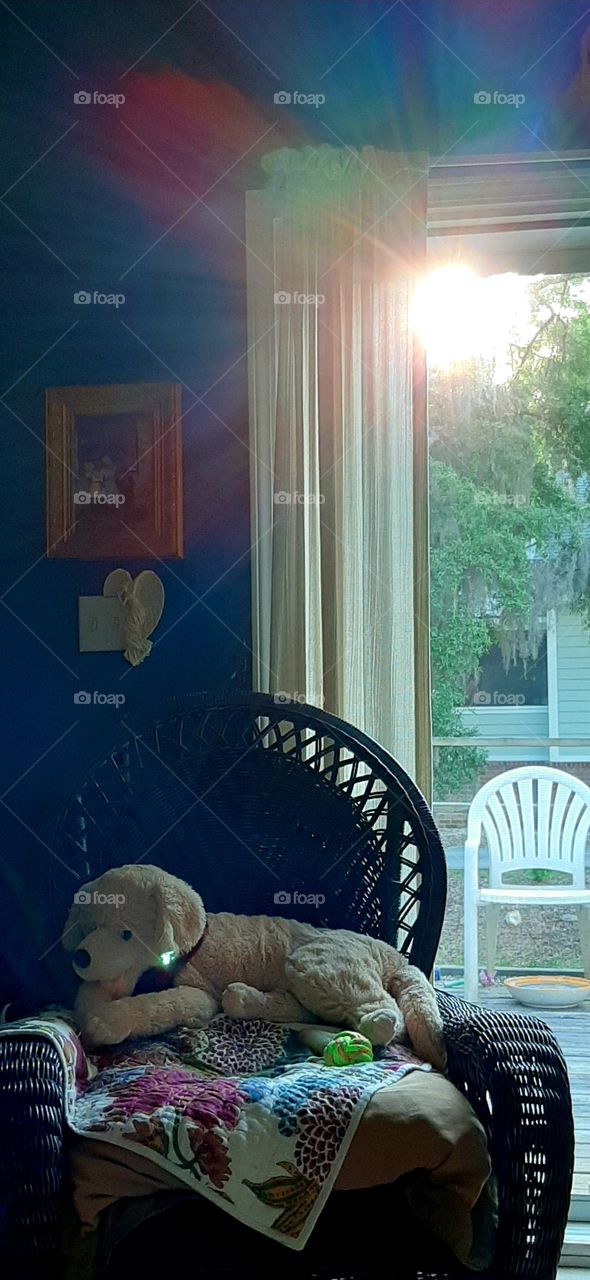 outside in...as the sun goes down