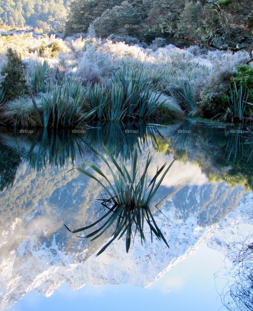 More from New Zealand’s mirror lakes. Even the puddles on the side of the road there are tourist worthy!