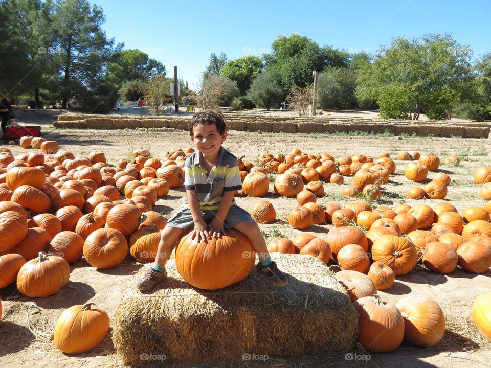 Boy sitting on pumpkin in a pumpkin patch.