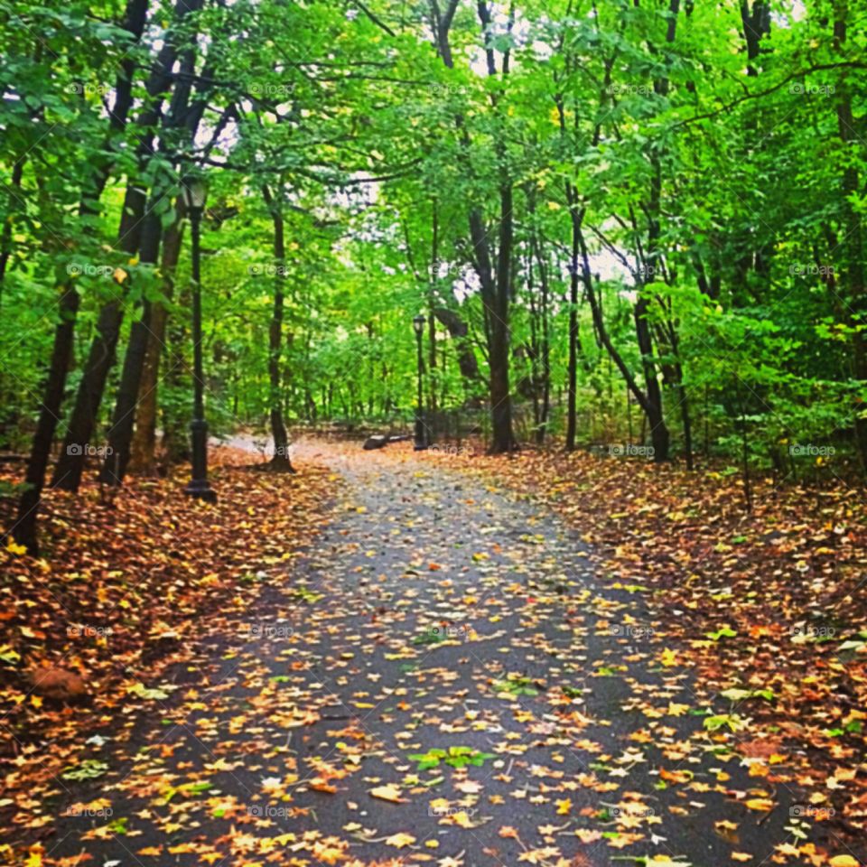 Autumn day at the park.