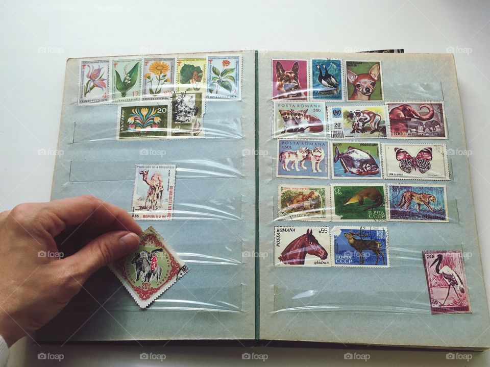 collecting stamps