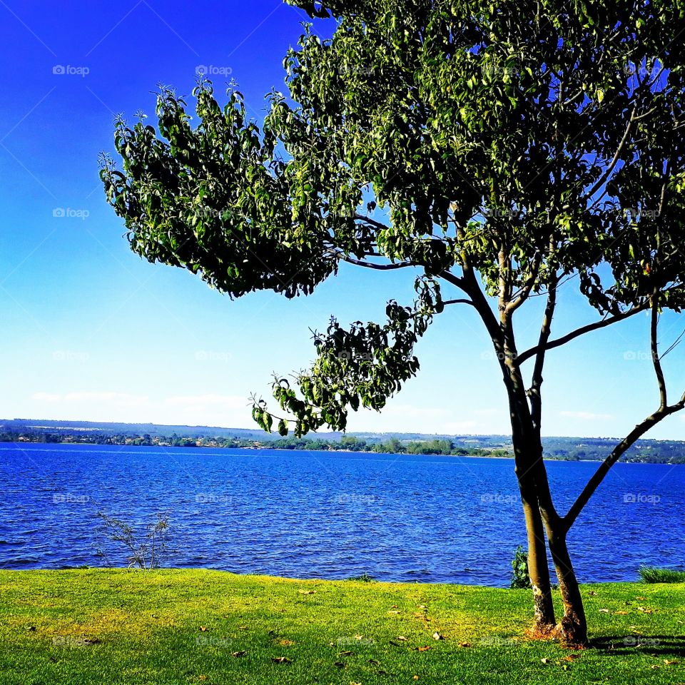 lago PARANOÁ de Brasília.