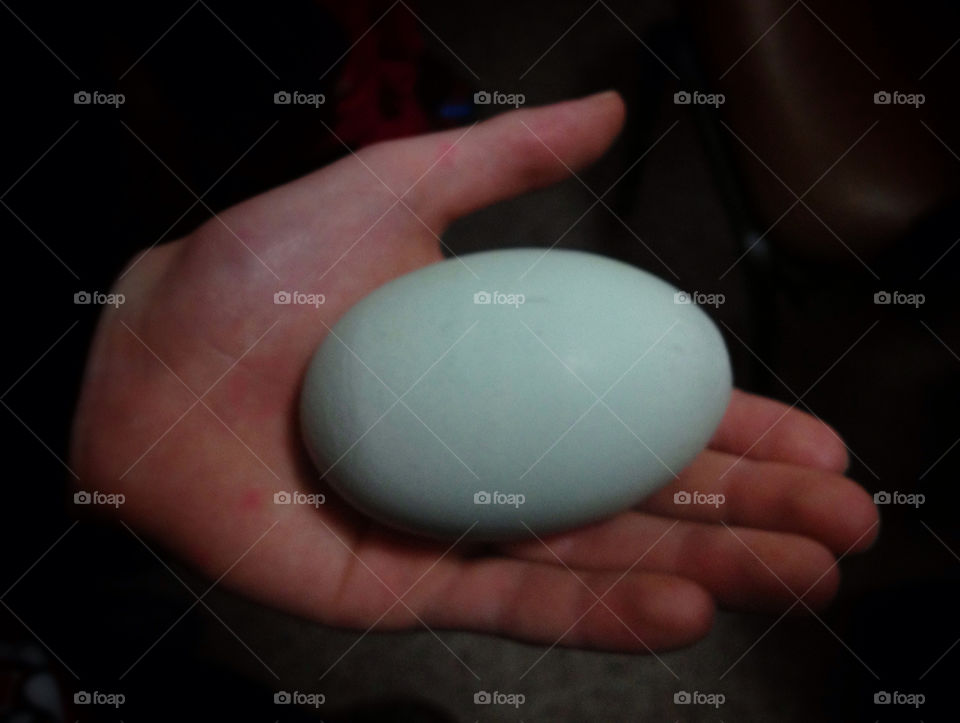 green hand easter egg by miowan