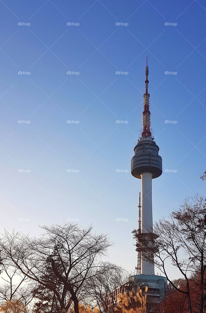 n seoul tower during the autumn dusk
