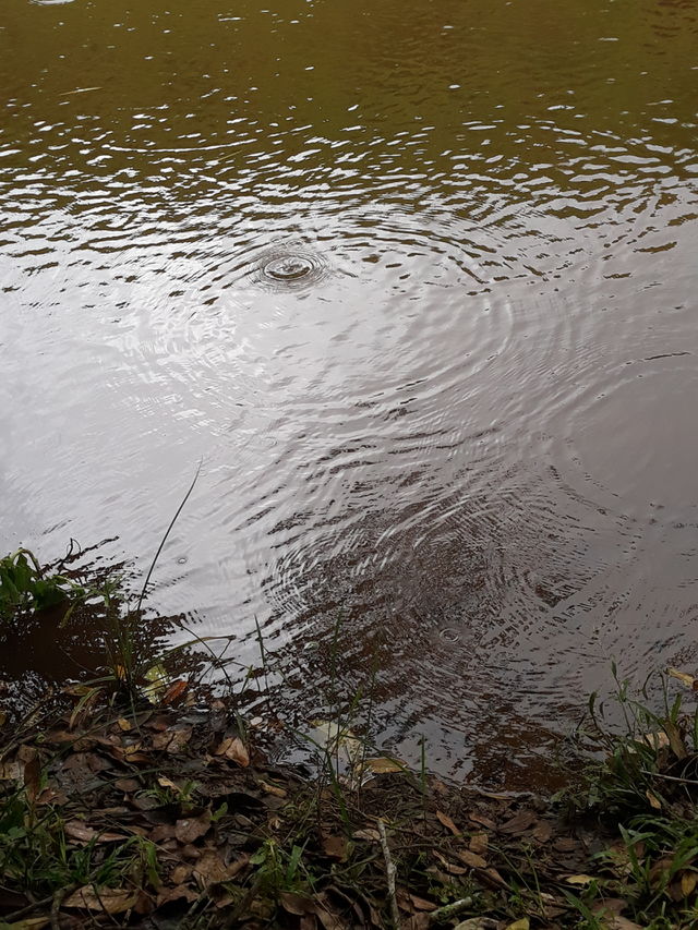 watter low