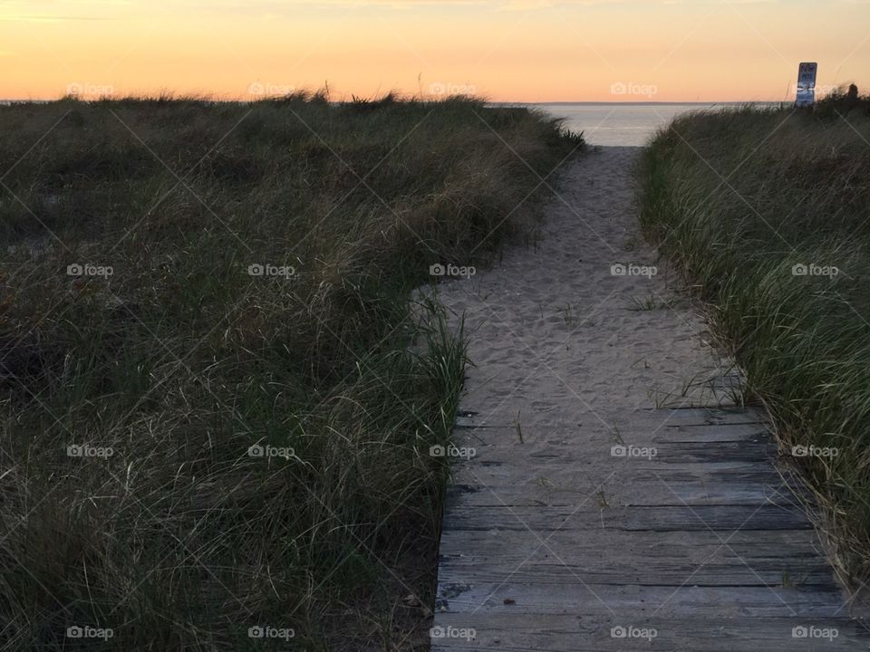 Sandy Path 