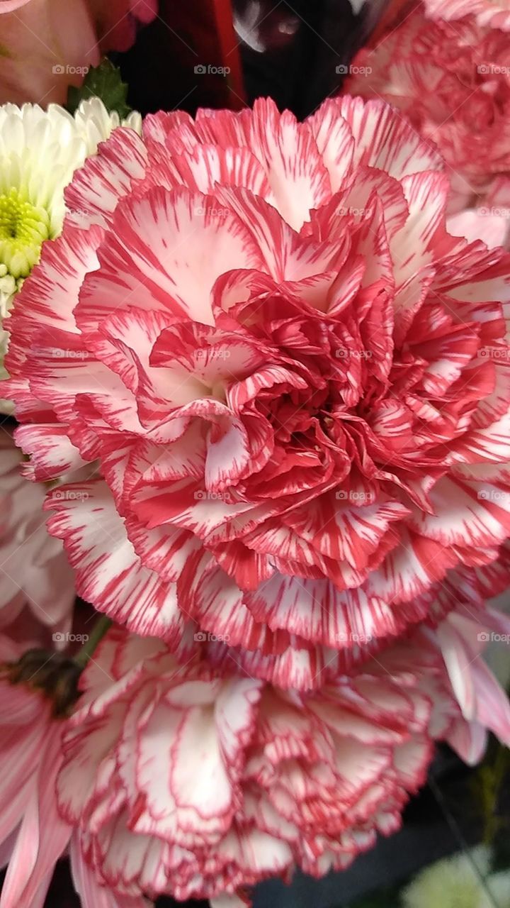 A flower for such a beautiful person.❤️