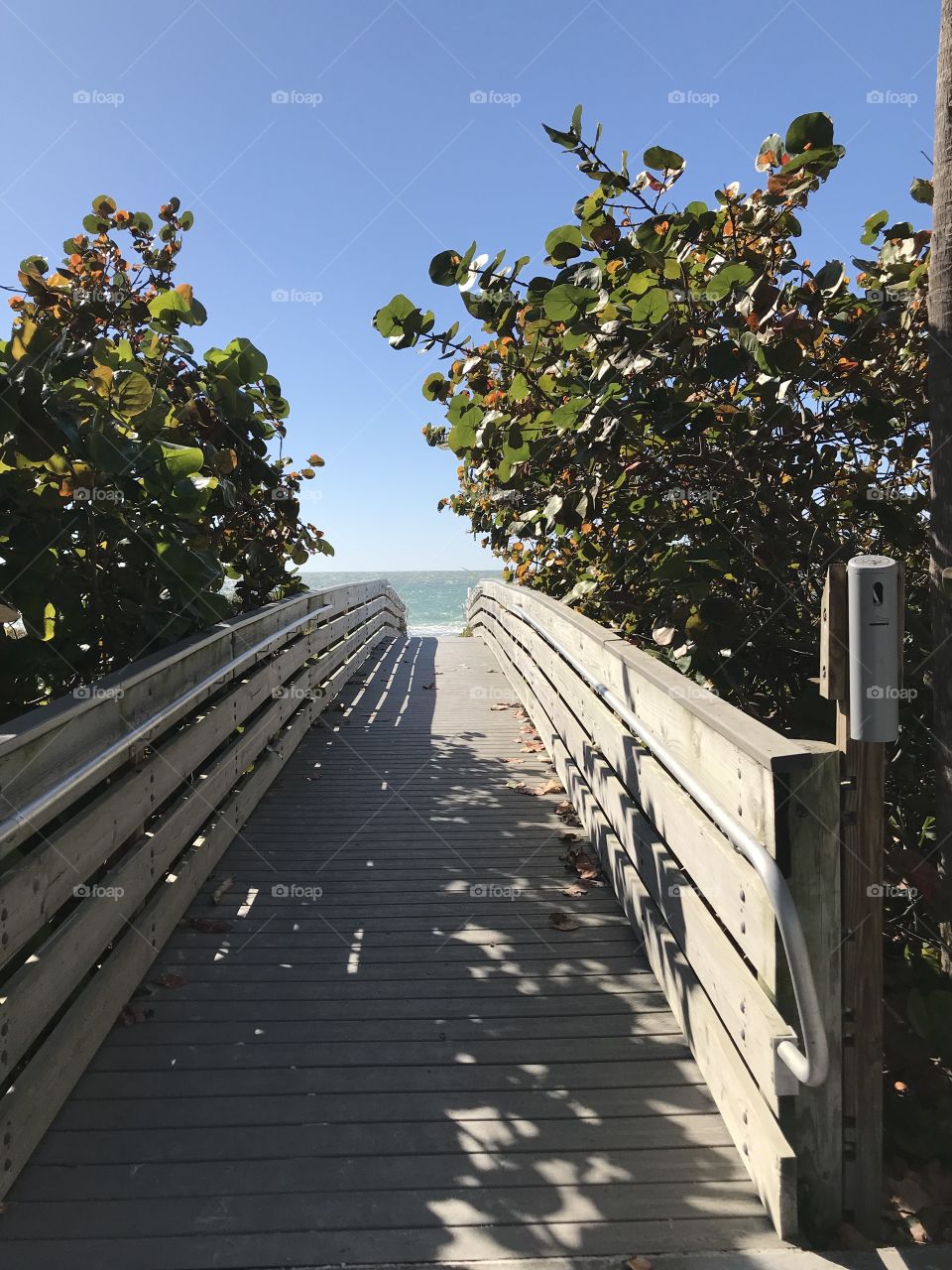 Bridge to the beach