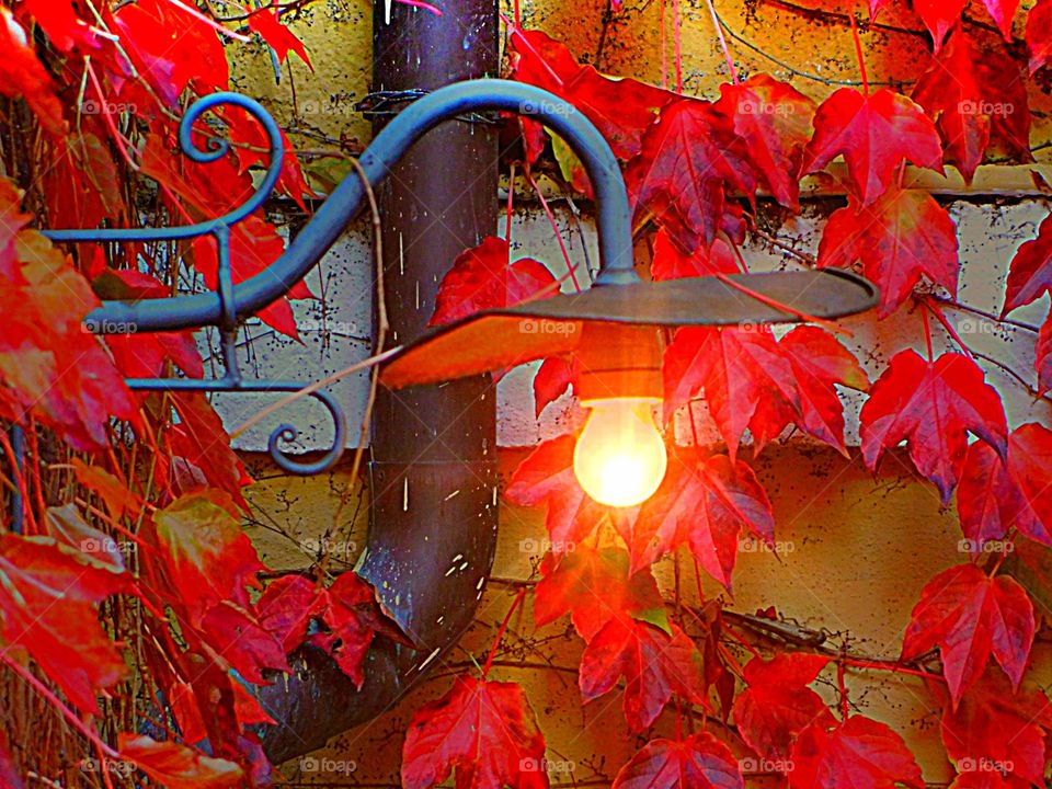 Street Light at Sestri Levante, Genoa, Italy