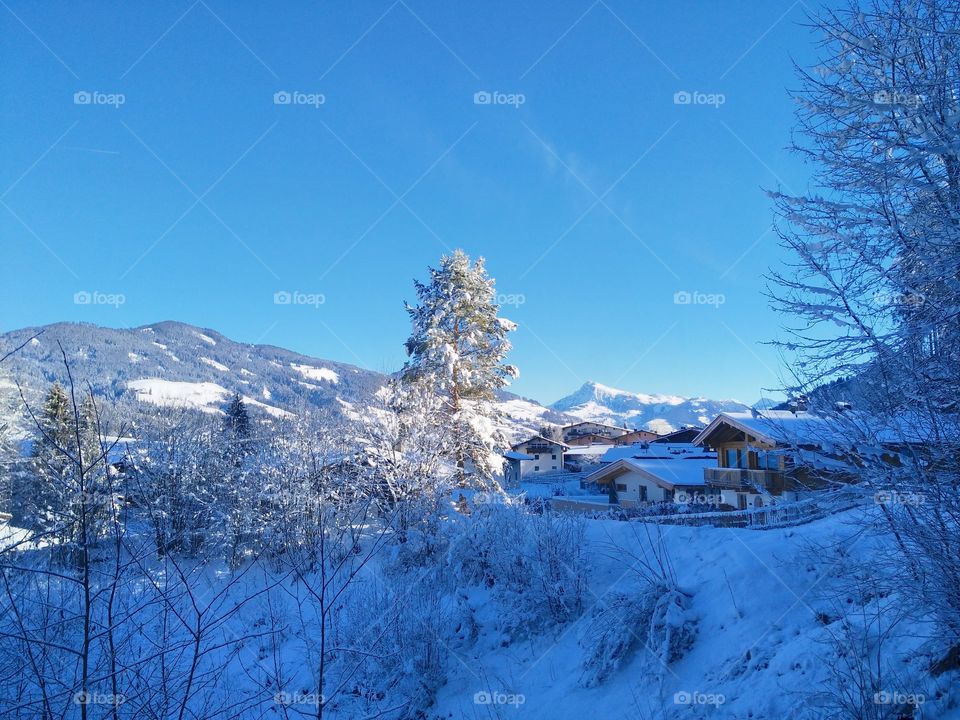 Winter dreams lands cap