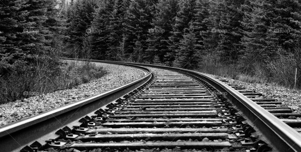Black and white of train tracks going through the woods