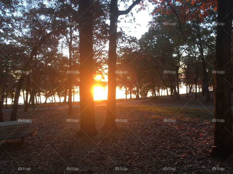 Sunset through the trees on Cedar Creek Lake, TX