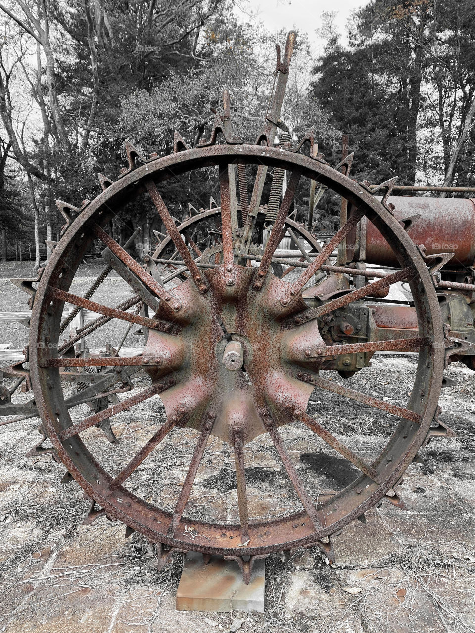 Rusty tractor wheel on an old Maryland farm. 