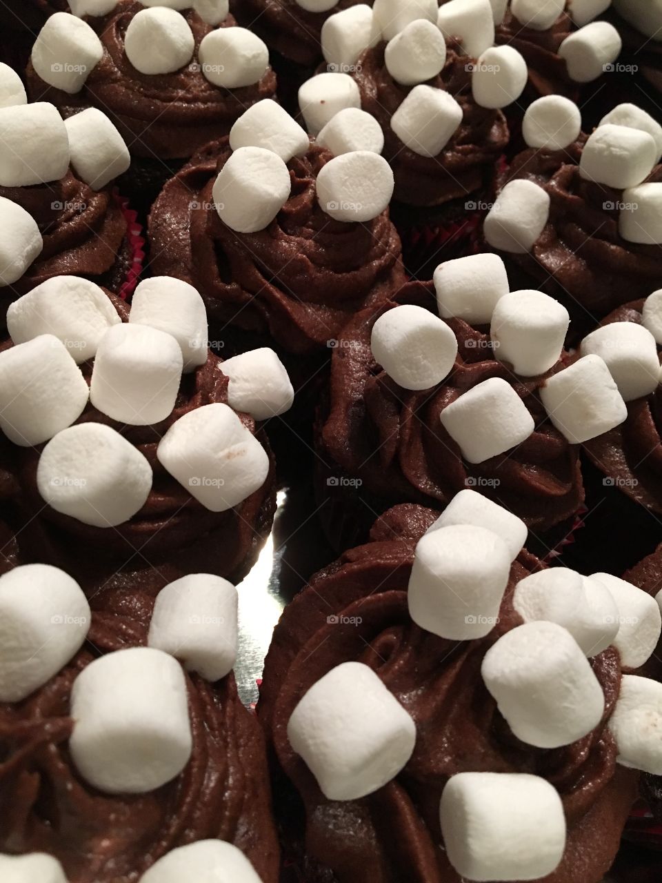 Hot Chocolate Cupcakes 