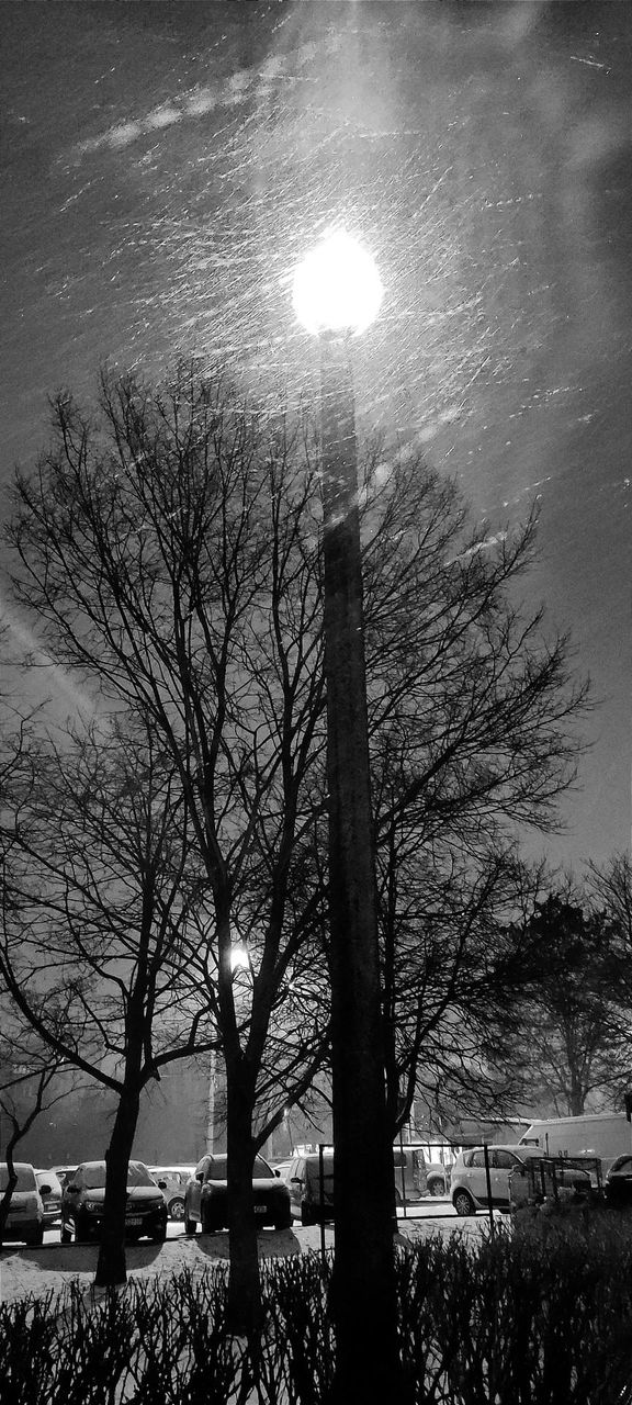 Snow falling in the city