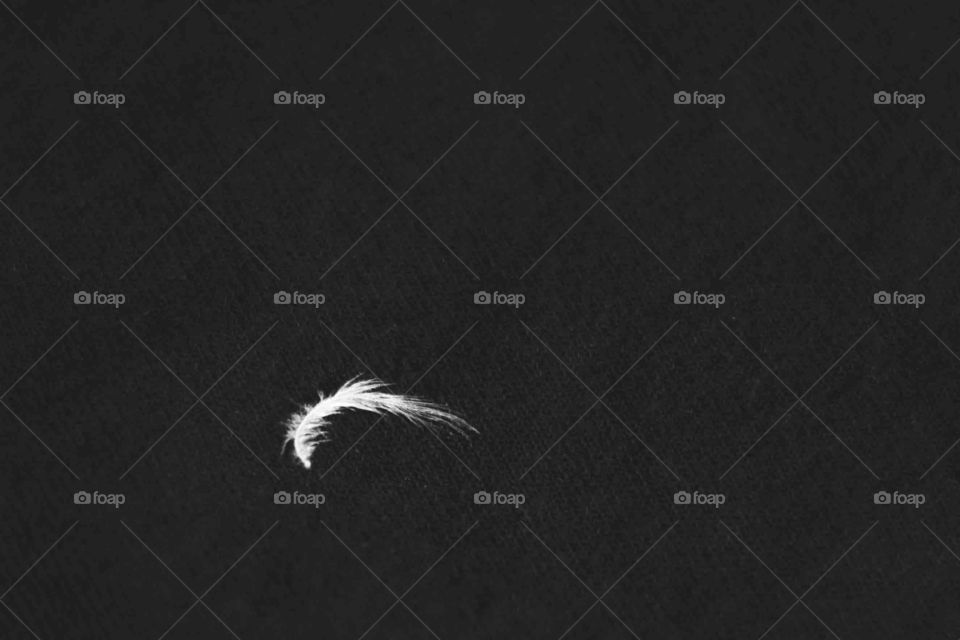 Feather. Simple. 