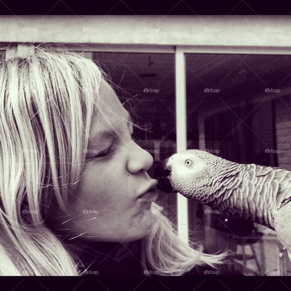 Parrot. Kiss