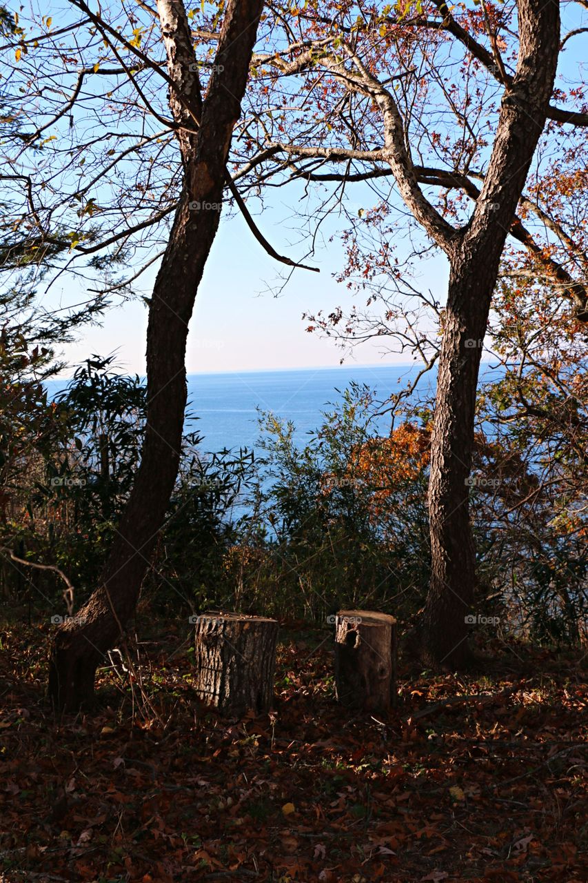Overlooking the Long Island sound, the two lonely logs are waiting to be sat upon by two lovers. 
