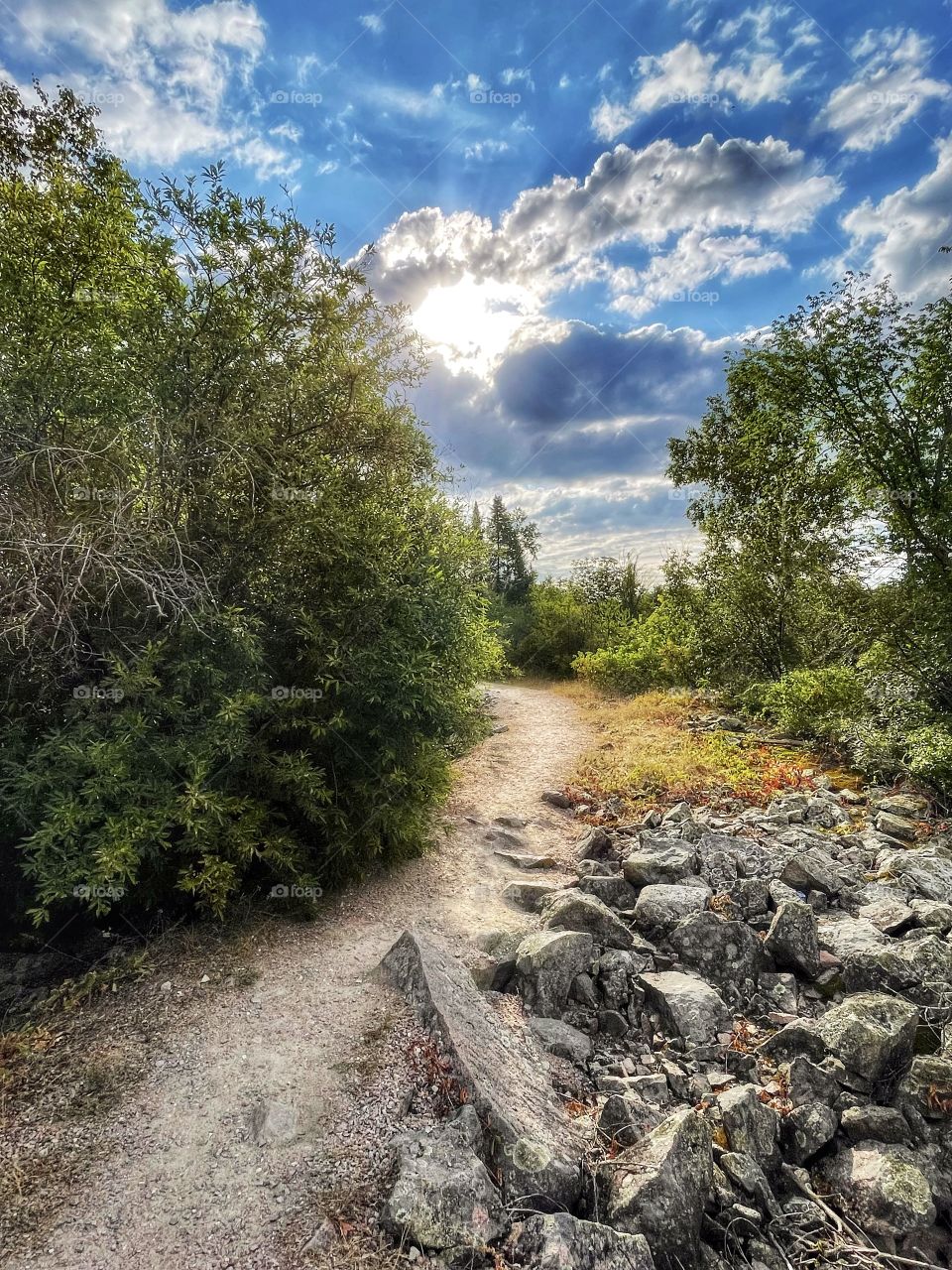 Hiking trail