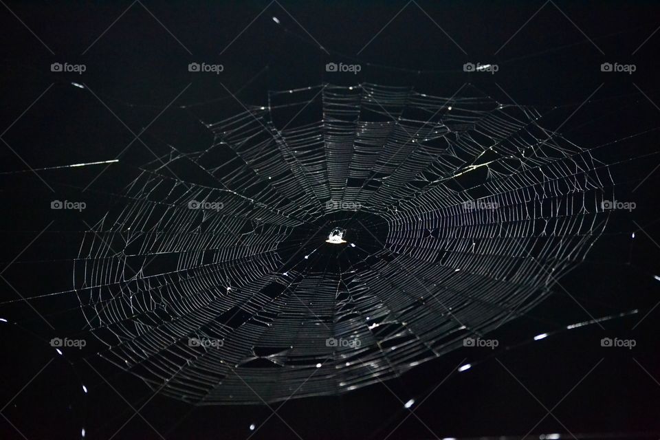 A silver spider web against a black sky with a spider in the center and captured things across it