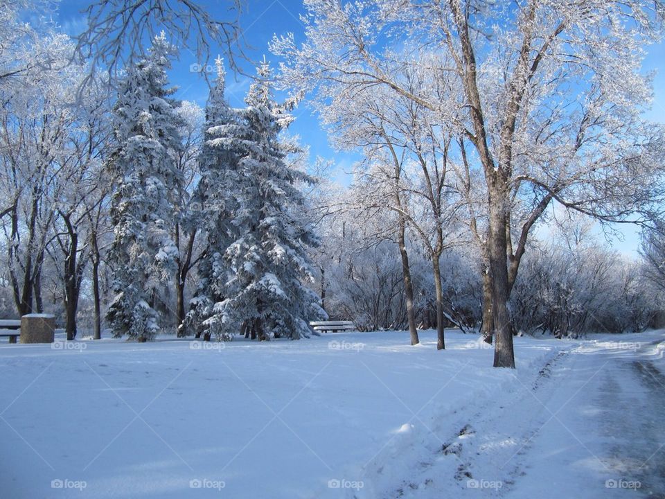 Regina, SK