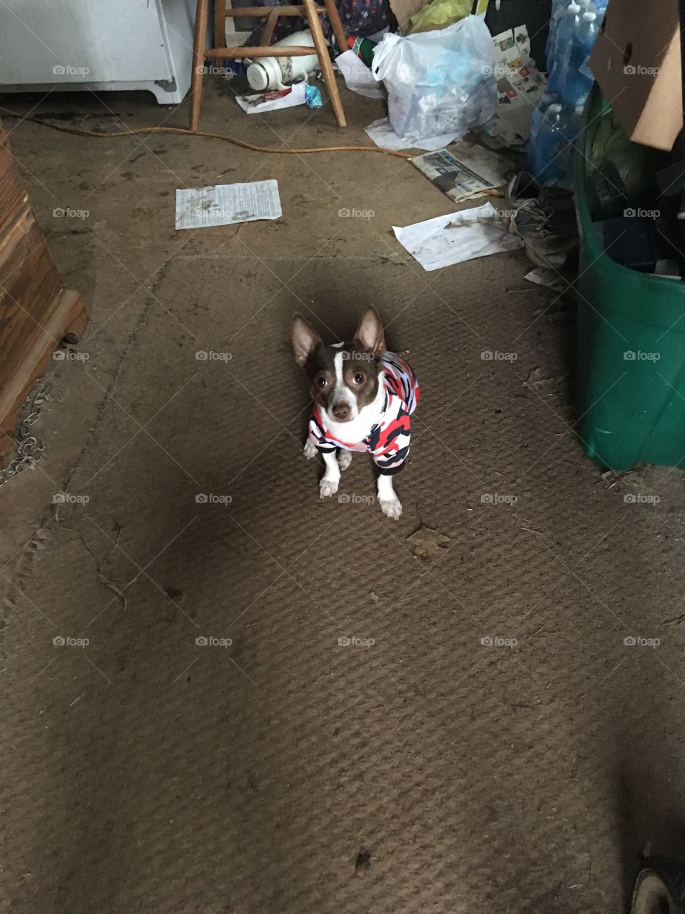 Mom I don’t know if I like my new hoodie or not I know it looks good and all But....