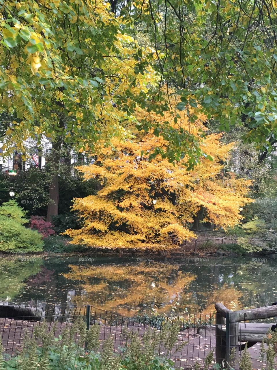 Autumn is coming,First sign of autumn 🍂