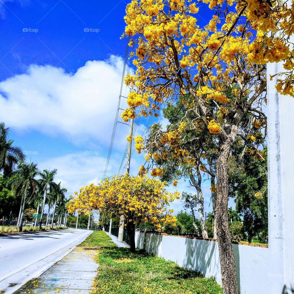 Primer día de Primavera.