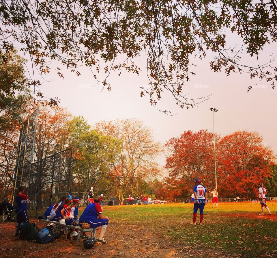 Autumn afternoon softball - orange leaves