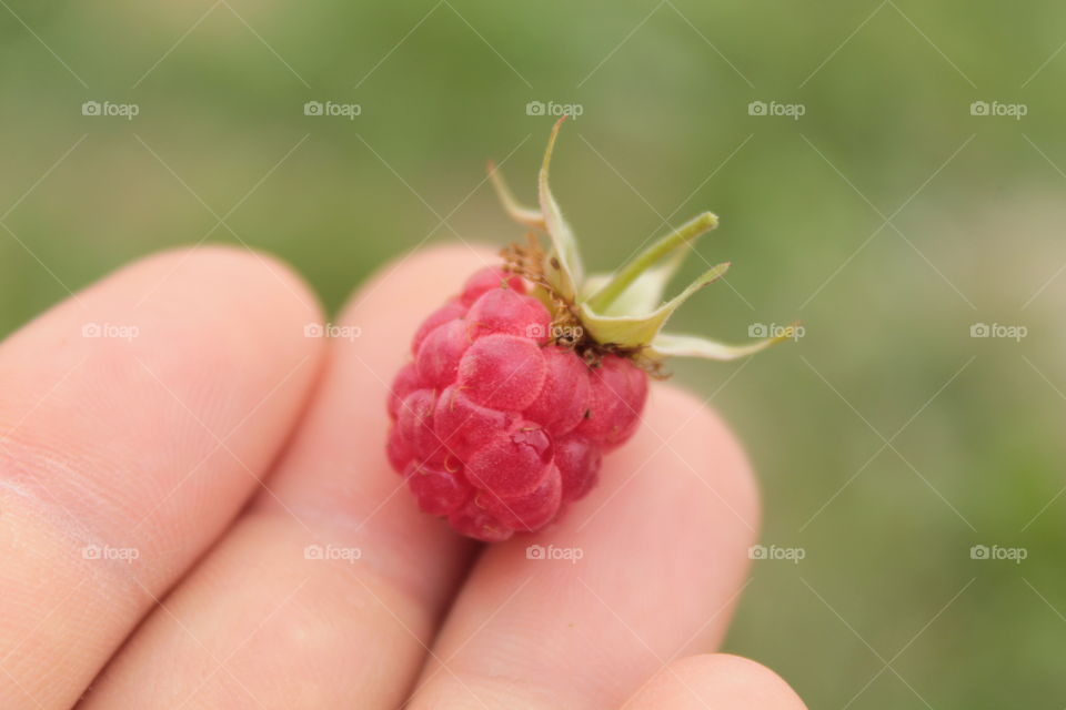 Strowberry on the hand