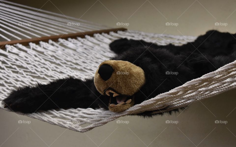 Stuffed Animal Bear Relaxing
