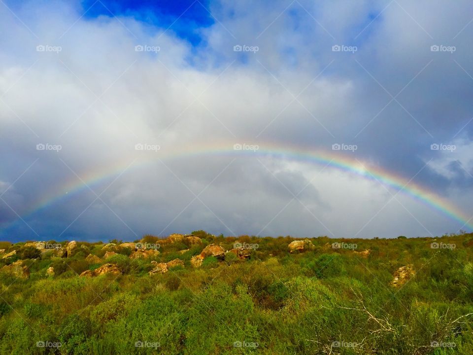 Rocklands Rainbow. A sunny/stormy day, we walked to the Sassies and were joined by this gem the whole way!